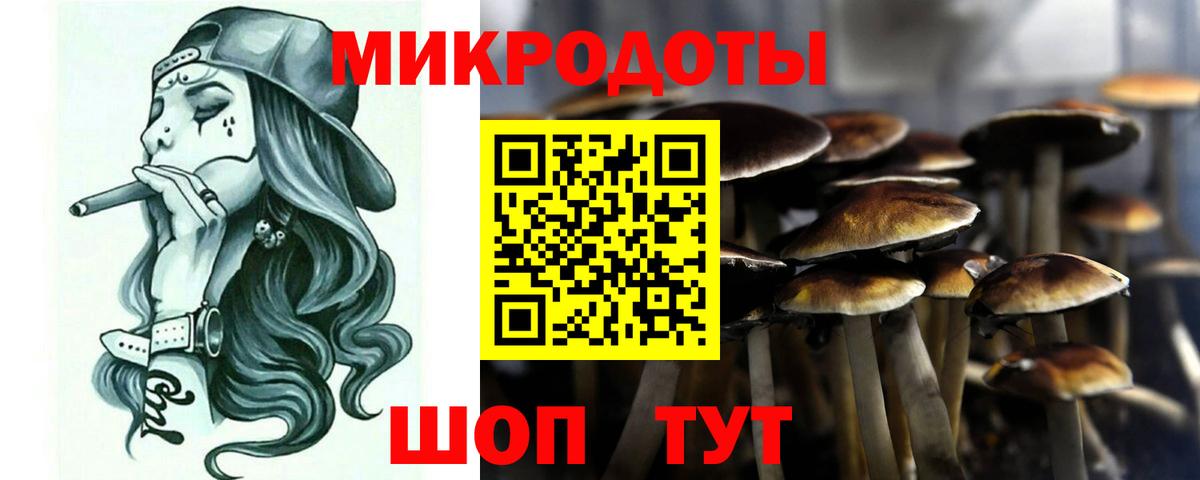 Галлюциногенные грибы Psilocybine cubensis Тайшет